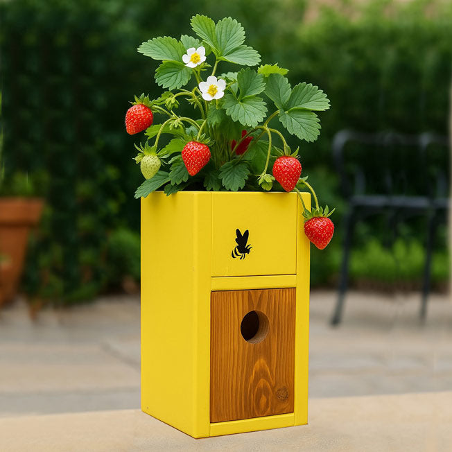 Sunny yellow handcrafted birdhouse planter with bee motif and space for 4-inch potted plant