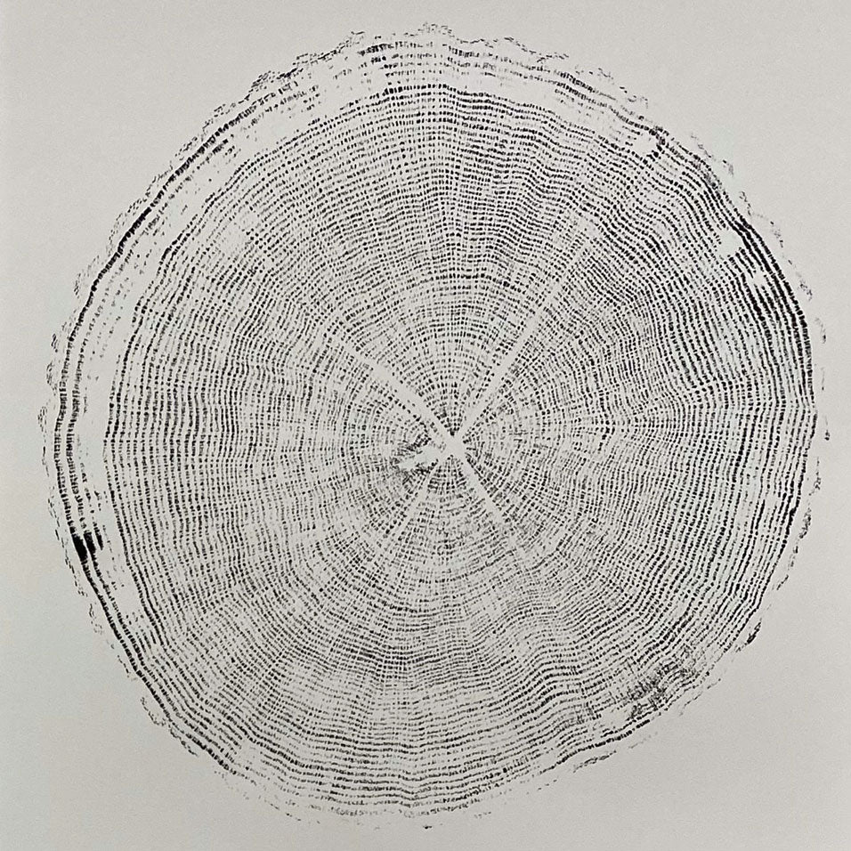 Framed tree ring wall art print with natural wood slice pattern in rustic black frame