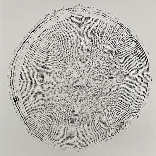 Framed tree ring wall art print with natural wood slice pattern in rustic black frame